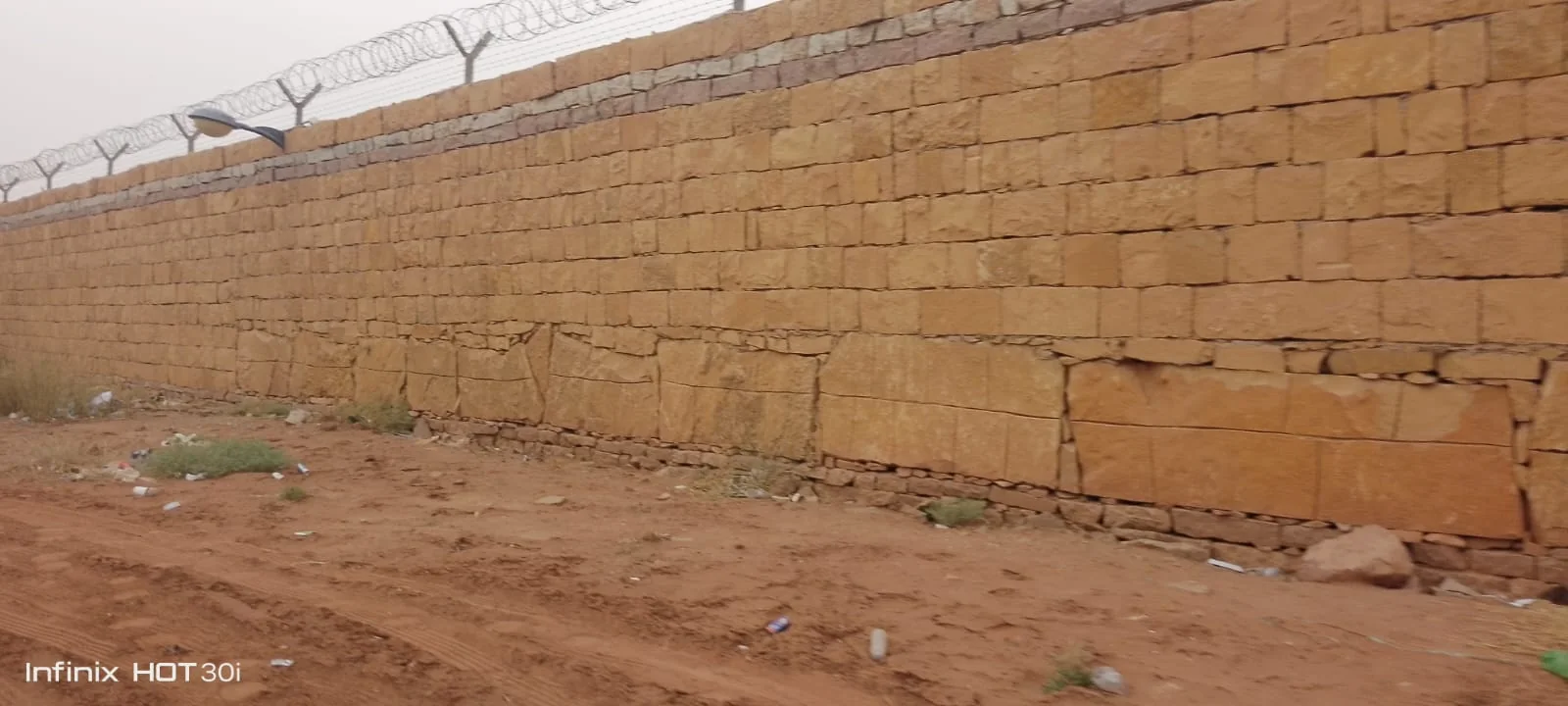 ري النخيل بالتنقيط