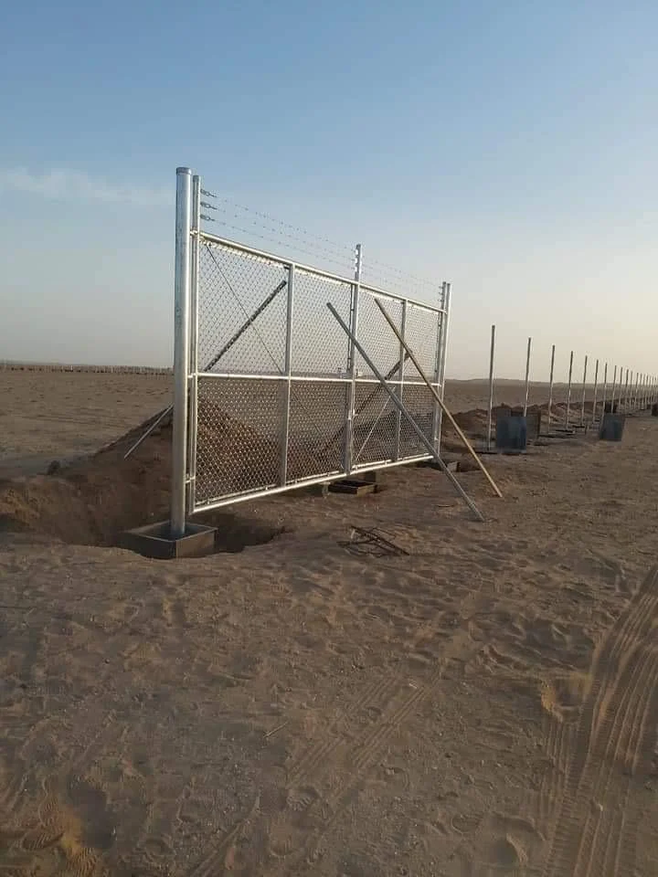 موعد وطريقة تقليم النخيل في الخبر: دليل حي التحلية