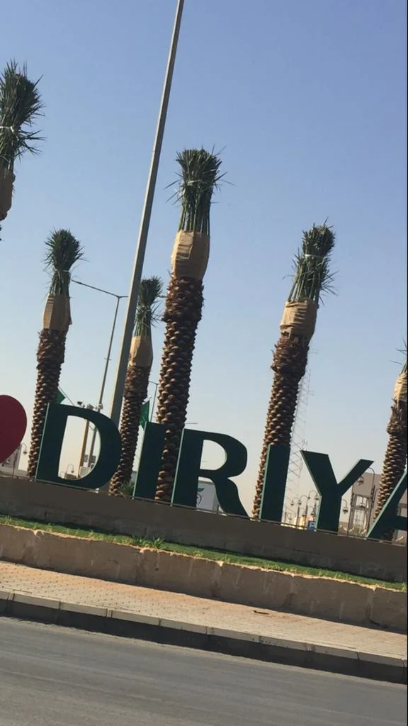 تثبيت ودعم النخيل بعد الزراعة