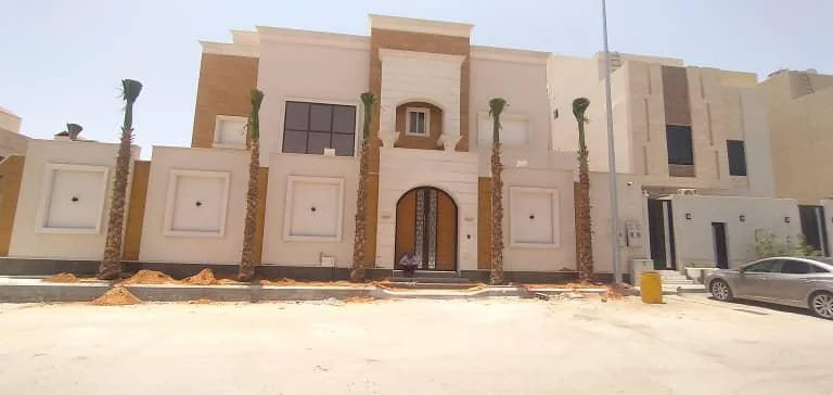 علامات النخلة السليمة قبل الشراء في الرياض: دليل حي العارض