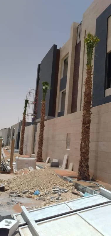 مسافات زراعة النخيل في الخبر: دليل حي اللؤلؤ
