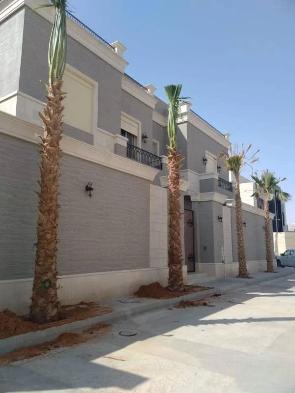 تنفيذ السوفت سكيب