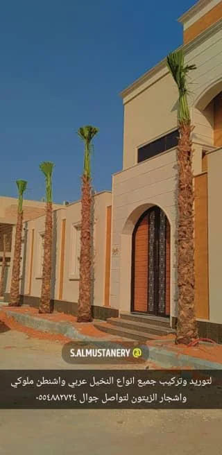 نخيل طويل أمام بوابة سكنية