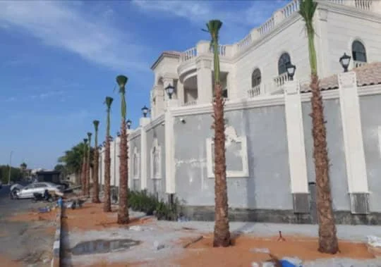 زراعة نخيل على واجهة قصر